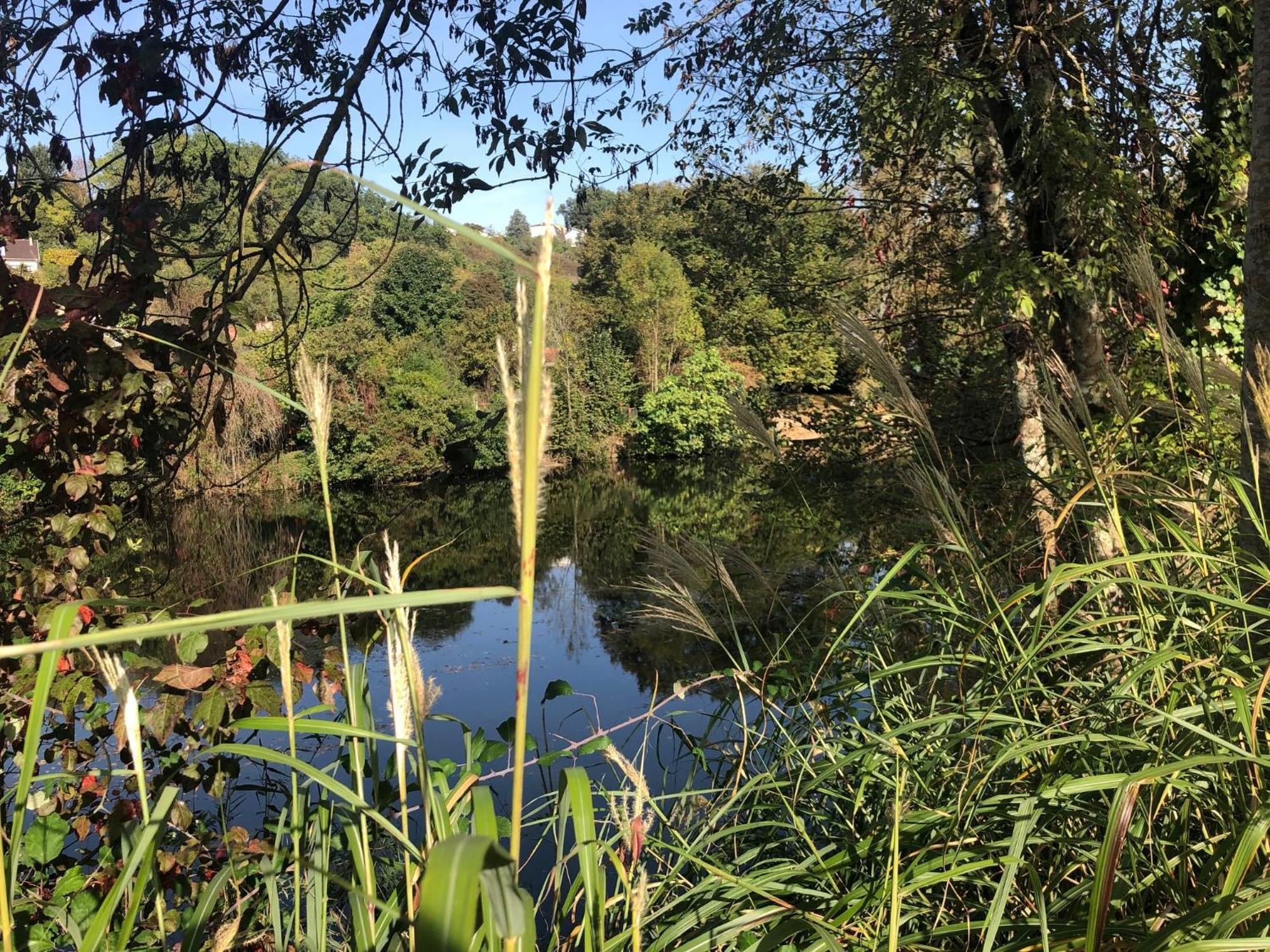 Demeure De Charme Vue Riviere Perigueux Piscine Parking Bed and Breakfast Esterno foto